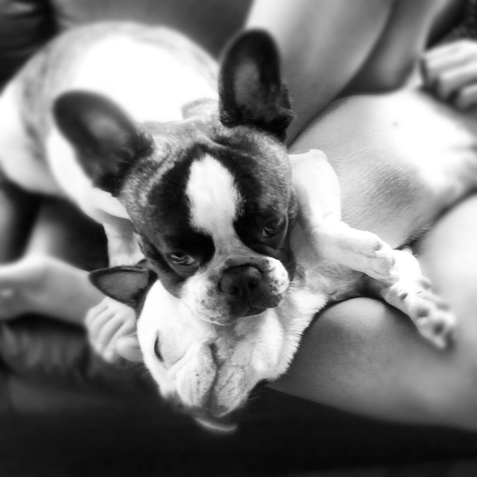 69503_10151586189293541_564560048_n