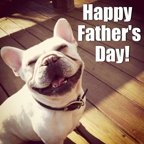 181259_538631006173659_69027271_n